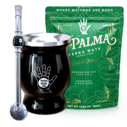 Beginner's Yerba Mate Kit - Stainless Steel Gourd, Bombilla & Yerba